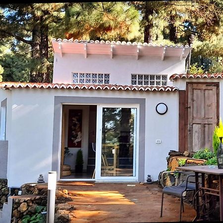 Casa Aguar: Acogedora Casa De Invitados En El Bosque Barrial Exterior photo