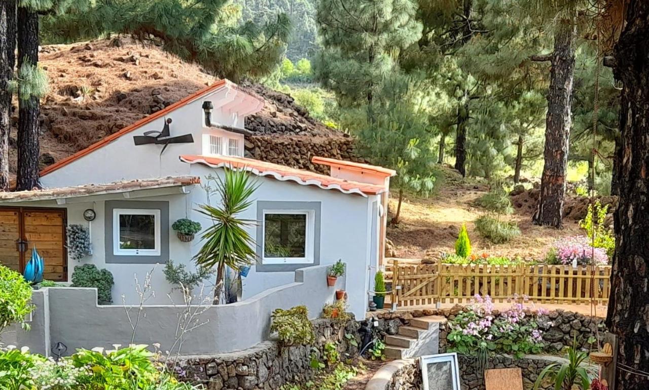 Casa Aguar: Acogedora Casa De Invitados En El Bosque Barrial Exterior photo