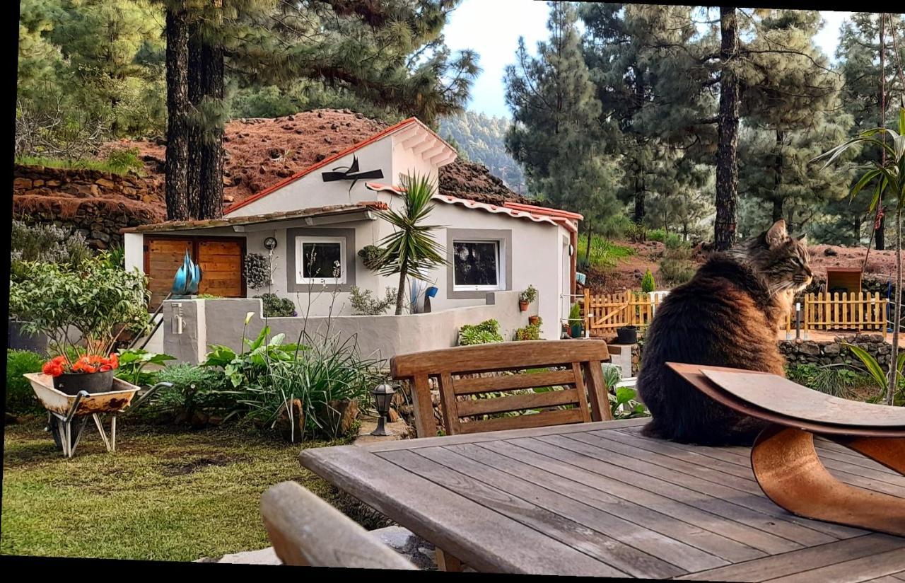 Casa Aguar: Acogedora Casa De Invitados En El Bosque Barrial Exterior photo